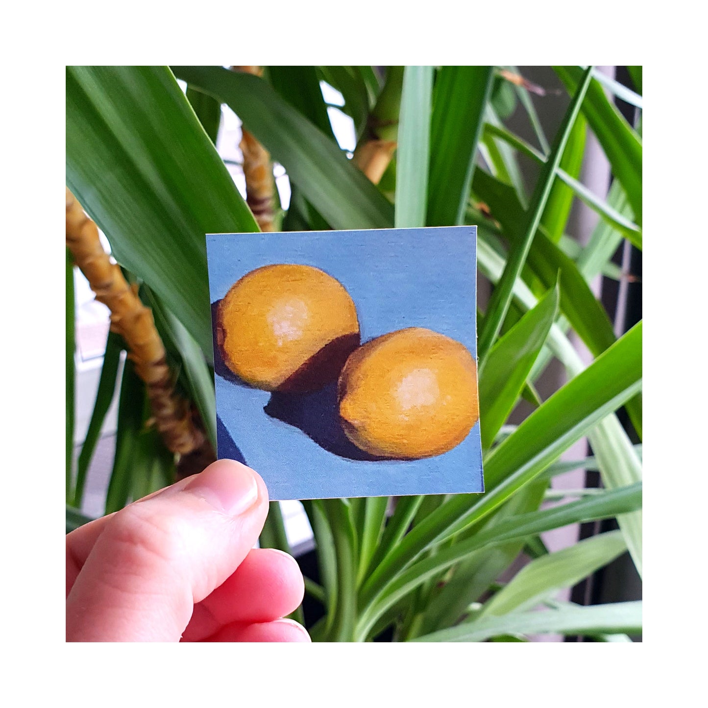 Lemons part 1 sticker - Still life painting print sticker